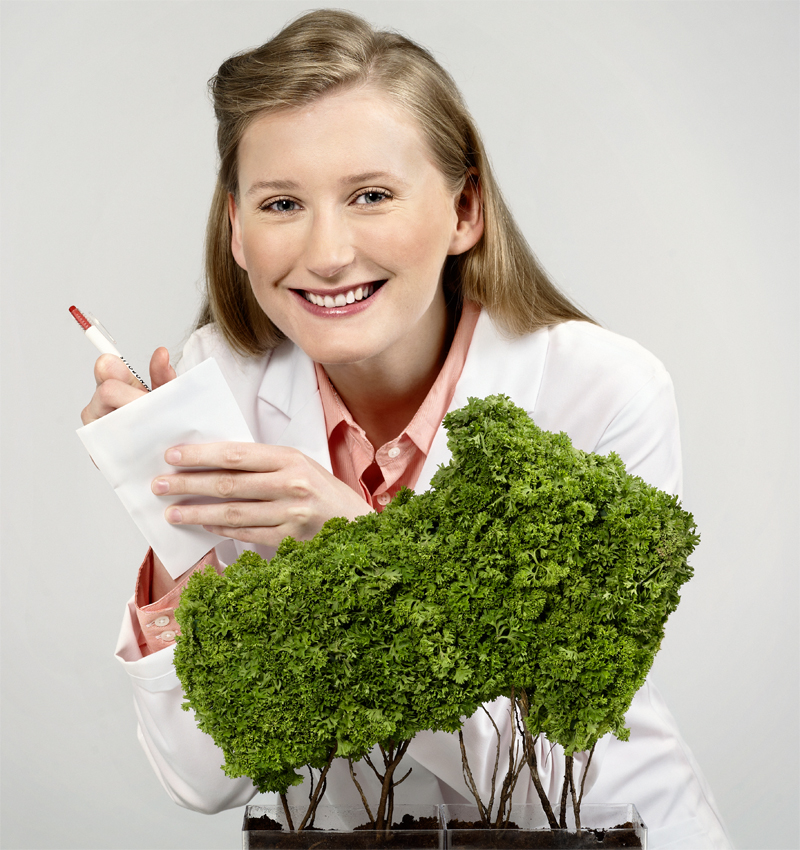 klik hier voor een grotere figuur